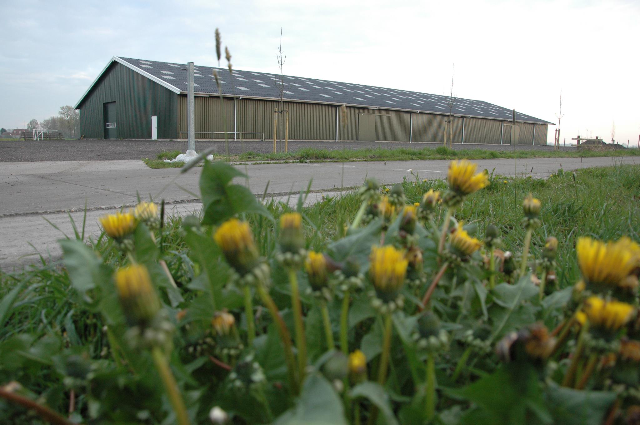 Lidmaatschap ingaande vanaf 1 juli