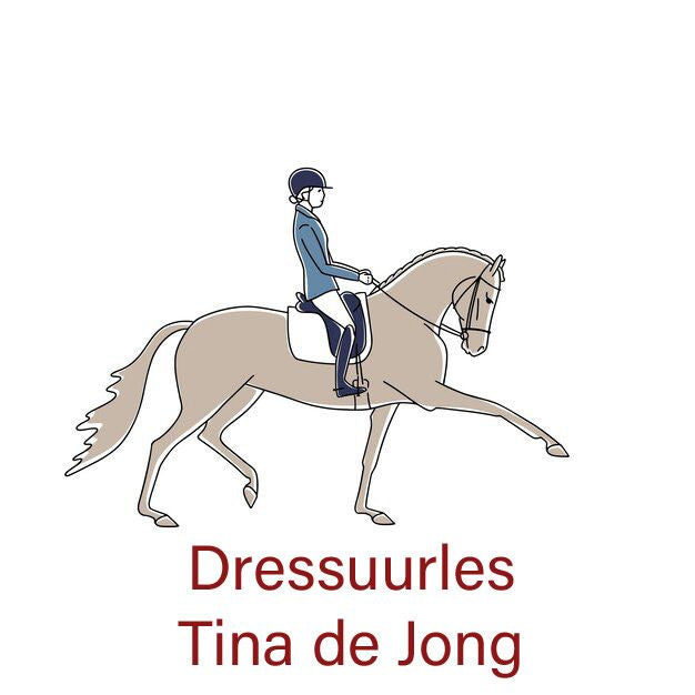 Dressuurles Woensdag (oneven weken)